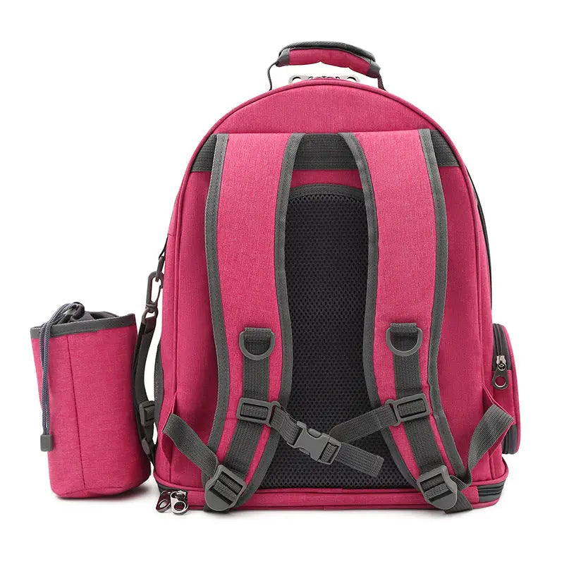 Clear View Pet Carrier Backpack