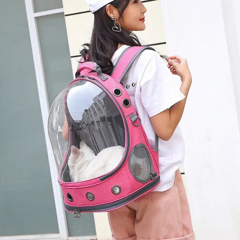 Clear View Pet Carrier Backpack